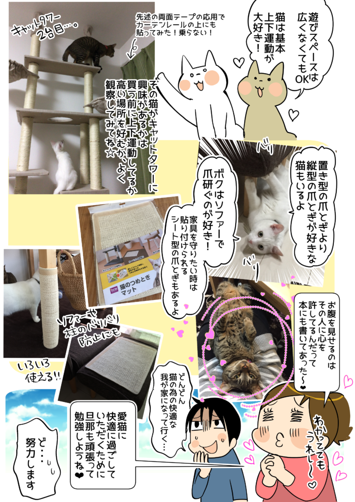 第16回 ネコの気持ちと飼い方がわかる本 猫に好かれる飼い主になる 目ウロコ主婦修業 連載 コラム くらしメイド ｄｃｍ