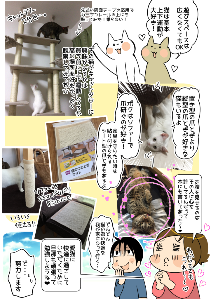 至上 書籍 猫の飼い方 育て方