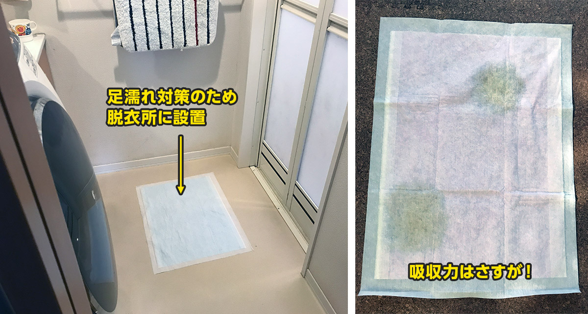 ニオイ対策も足濡れ防止もこの1枚でok コスパも優秀なペットシーツと言えばこれ Dcmブランドの世界 連載 コラム くらしメイド ｄｃｍ