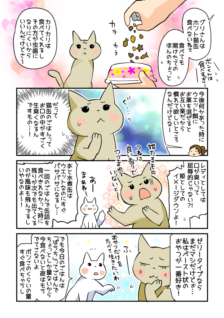 初めまして 猫のグリ ボン ぱうち ごはんと出会う グリ ボンち 連載 コラム くらしメイド ｄｃｍ