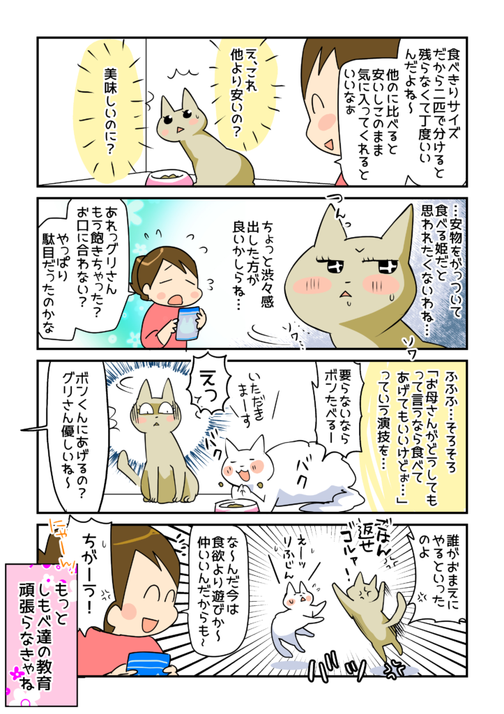 初めまして 猫のグリ ボン ぱうち ごはんと出会う グリ ボンち 連載 コラム くらしメイド ｄｃｍ