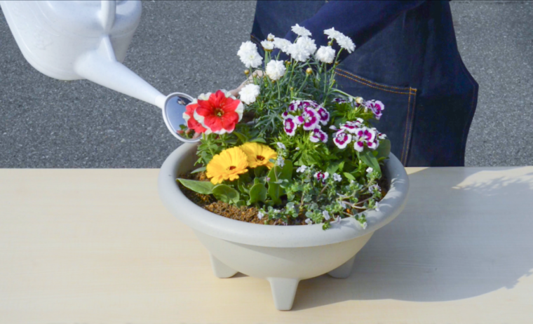 Howto 初心者でもできる基本の寄せ植えの作り方 春の寄せ植えにチャレンジしよう 動画あり コラムカテゴリー お役立ち コラム くらしメイド ｄｃｍ