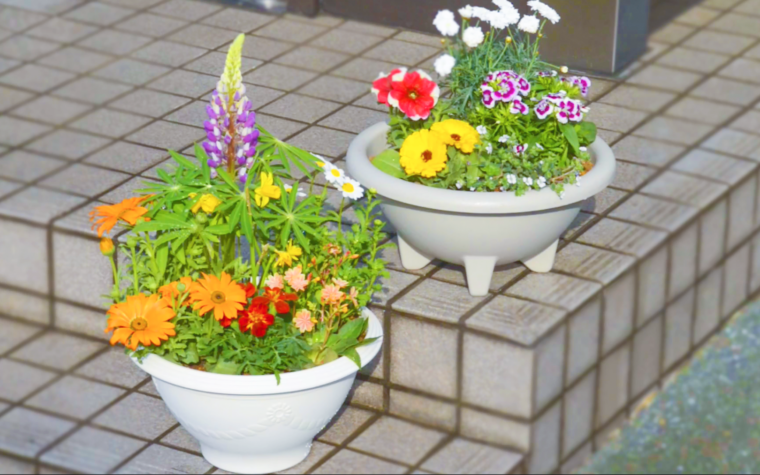 Howto 初心者でもできる基本の寄せ植えの作り方 春の寄せ植えにチャレンジしよう 動画あり コラムカテゴリー お役立ち コラム くらしメイド ｄｃｍ