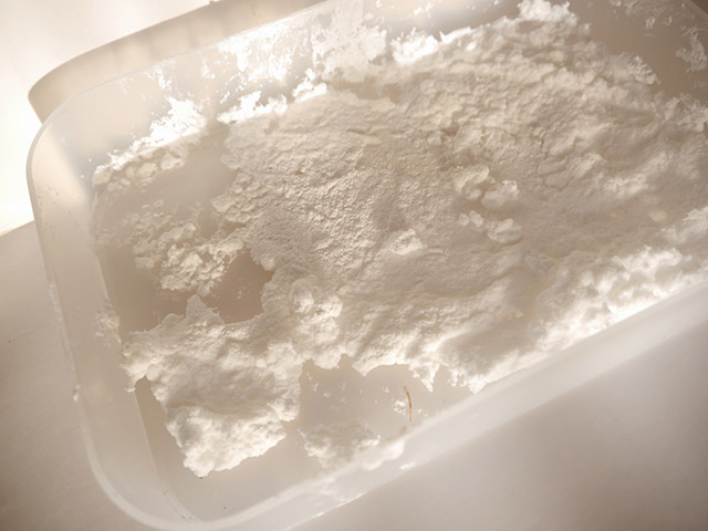 4日目のカチカチ状態。