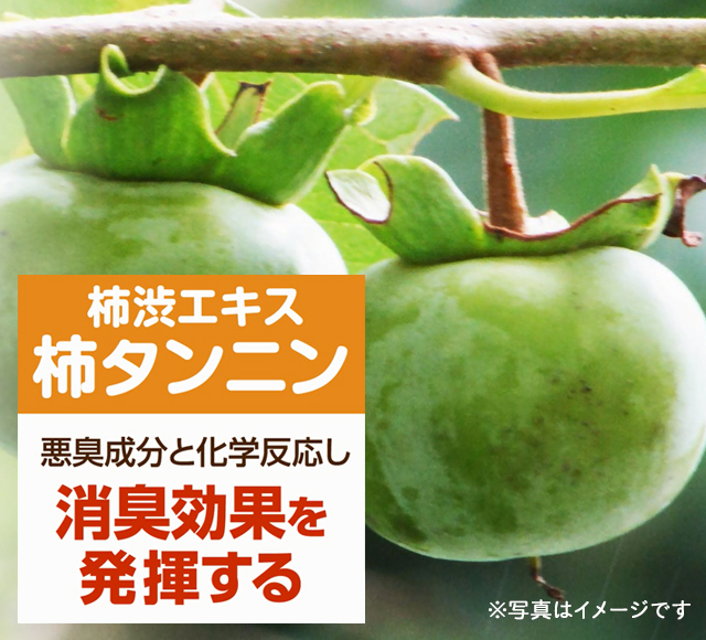 柿渋エキス　柿タンニン