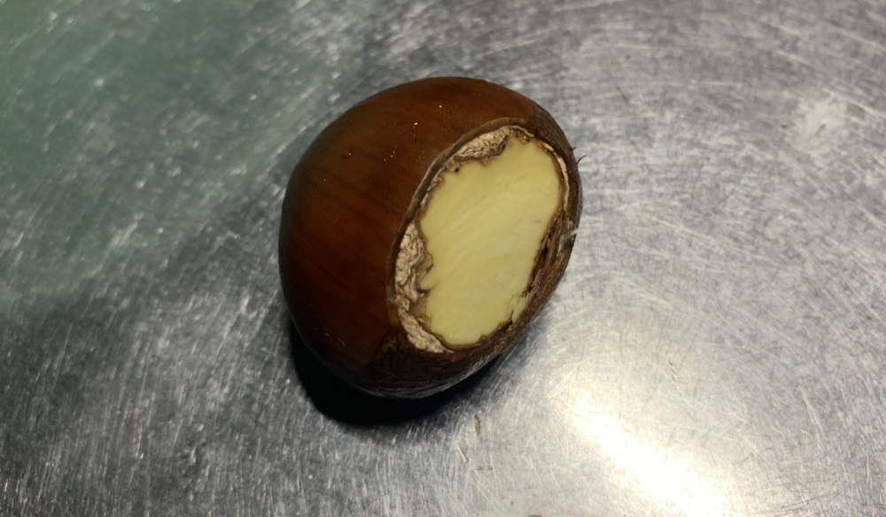 実際に栗の皮をむいてみよう！