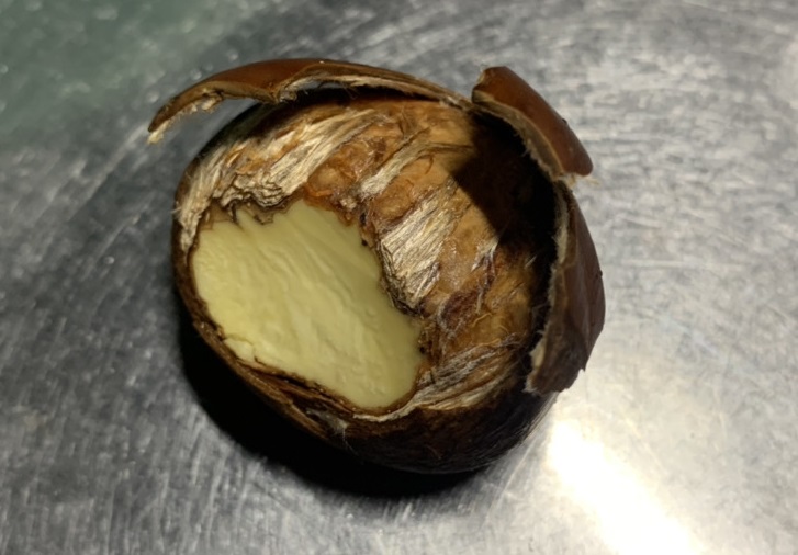 実際に栗の皮をむいてみよう！