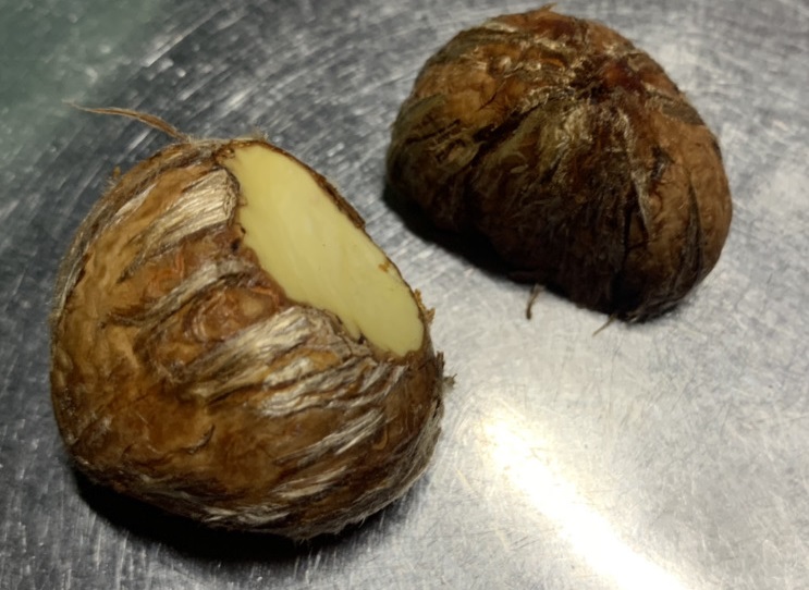 簡単にむける 栗のむきかた試してみた コラムカテゴリー キッチン コラム くらしメイド ｄｃｍ