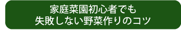 家庭菜園初心者でも失敗しない野菜作りのコツ