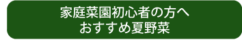 家庭菜園初心者の方へおすすめの夏野菜