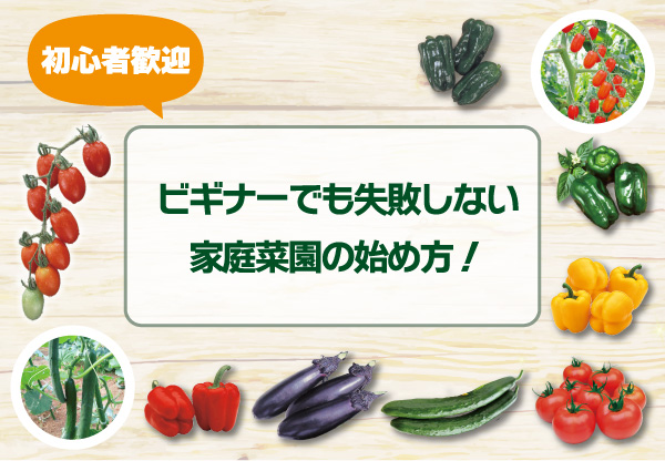 【初心者歓迎】ビギナーでも失敗しない家庭菜園の始め方！