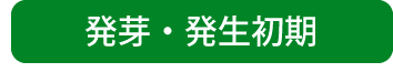 雑草対策・発芽・発生初期