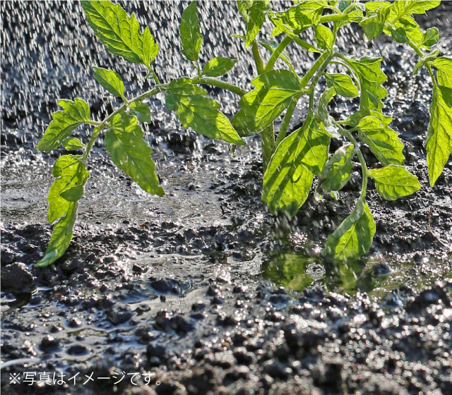 病気が発生しやすい