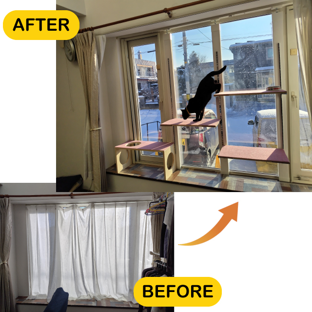 作品名:「ゆきち(猫)」の踊り場