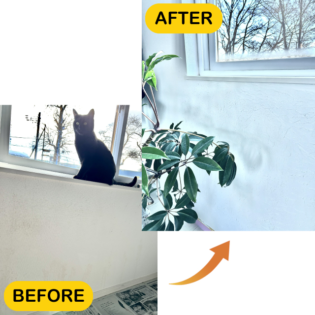 作品名:猫の引っ掻きも粗相も!!