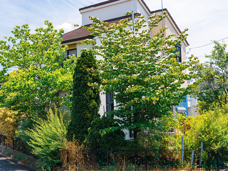 チェックポイント①　庭