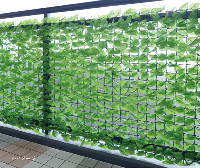 リーフラティス