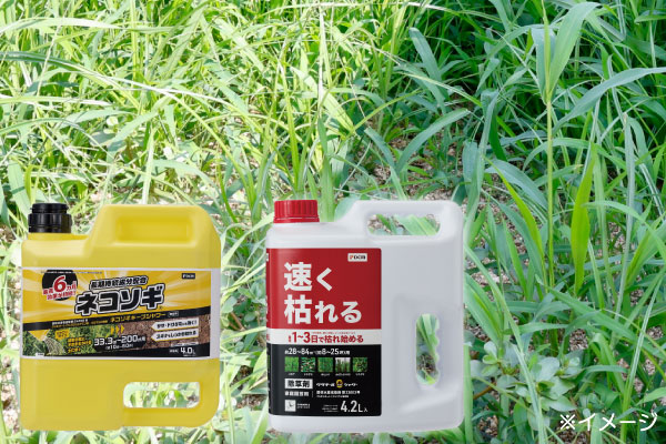 除草剤を使う