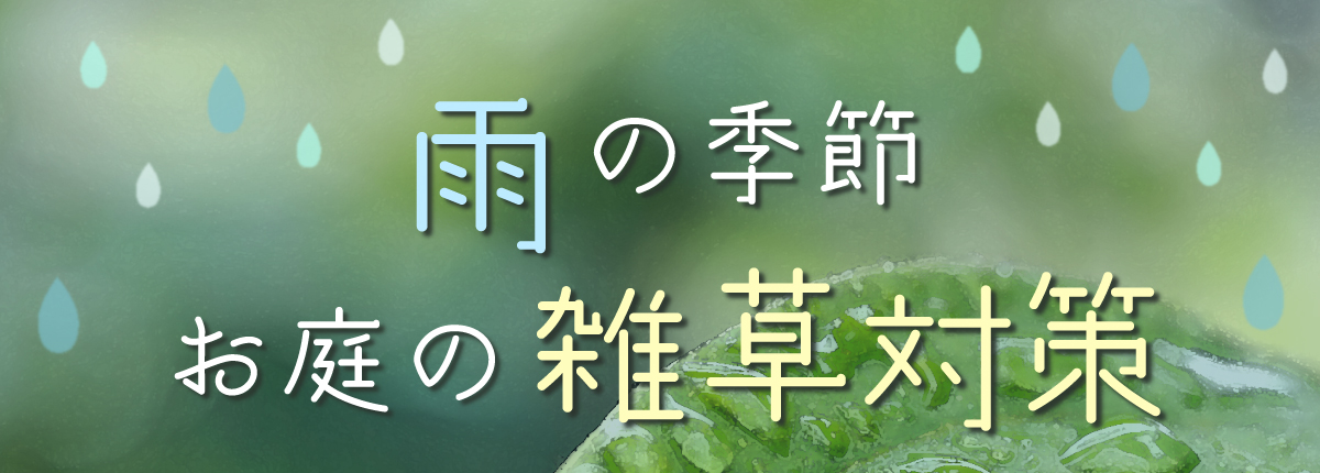【雨の季節】お庭の雑草対策