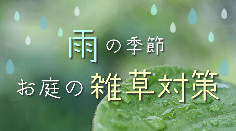 【雨の季節】お庭の雑草対策		