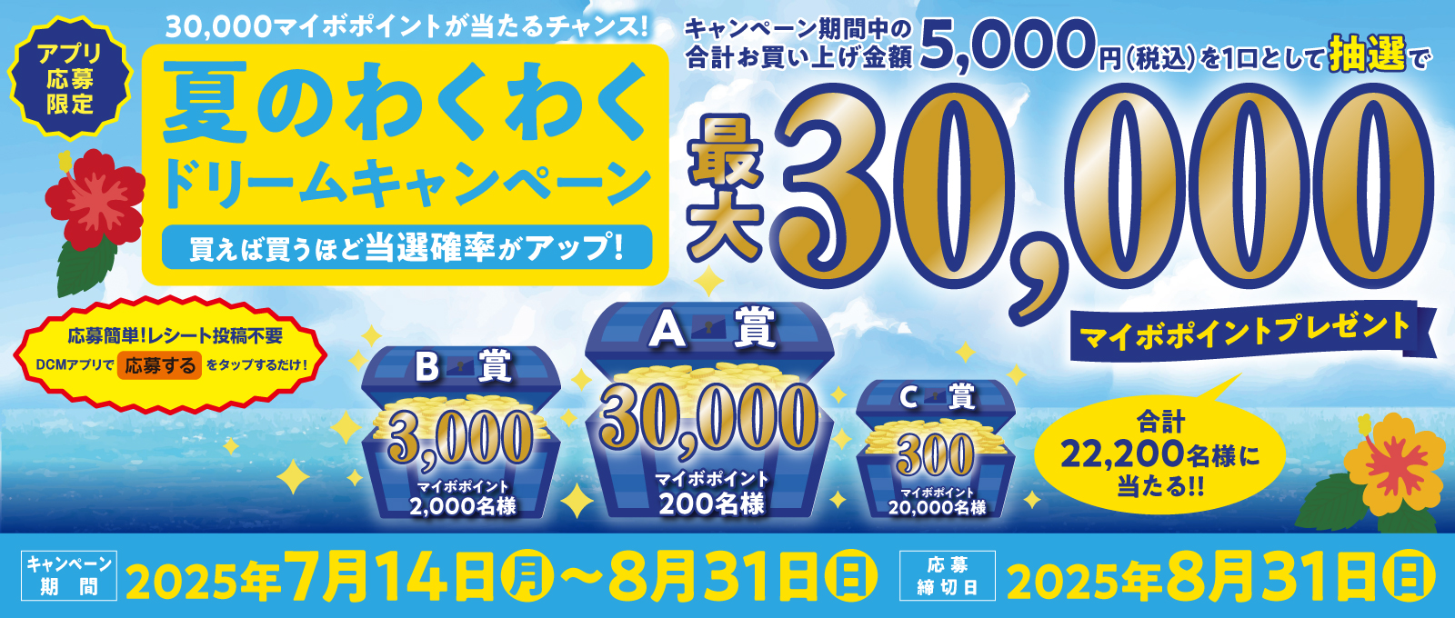 キャンペーン
