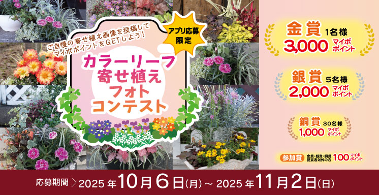 カラーリーフ寄せ植えフォトコンテスト【アプリ応募限定】