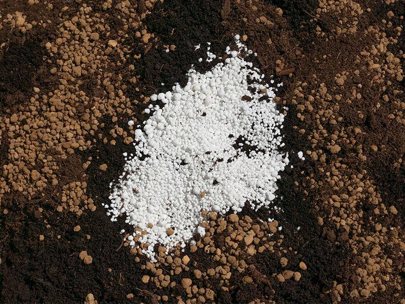 追肥:長く収穫するコツ