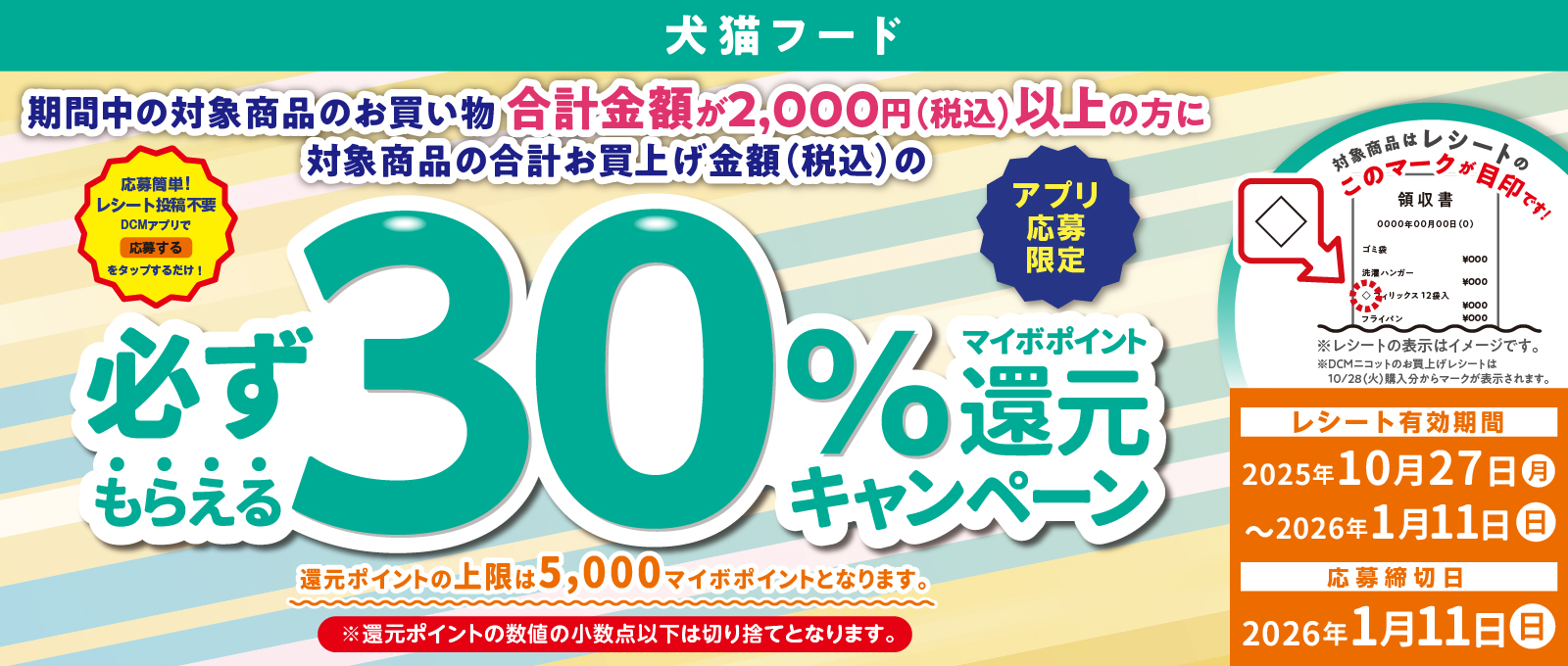 キャンペーン