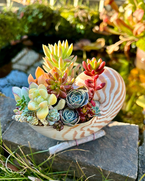 初心者歓迎】カラーリーフの寄せ植えで遊びませんか？ ｜ コラム