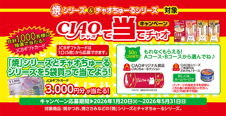 ホームセンター｜DCM株式会社