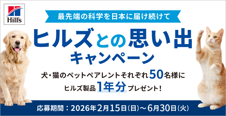 ヒルズとの思い出キャンペーン