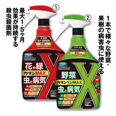 カダン ①MAX ②ベジMAX