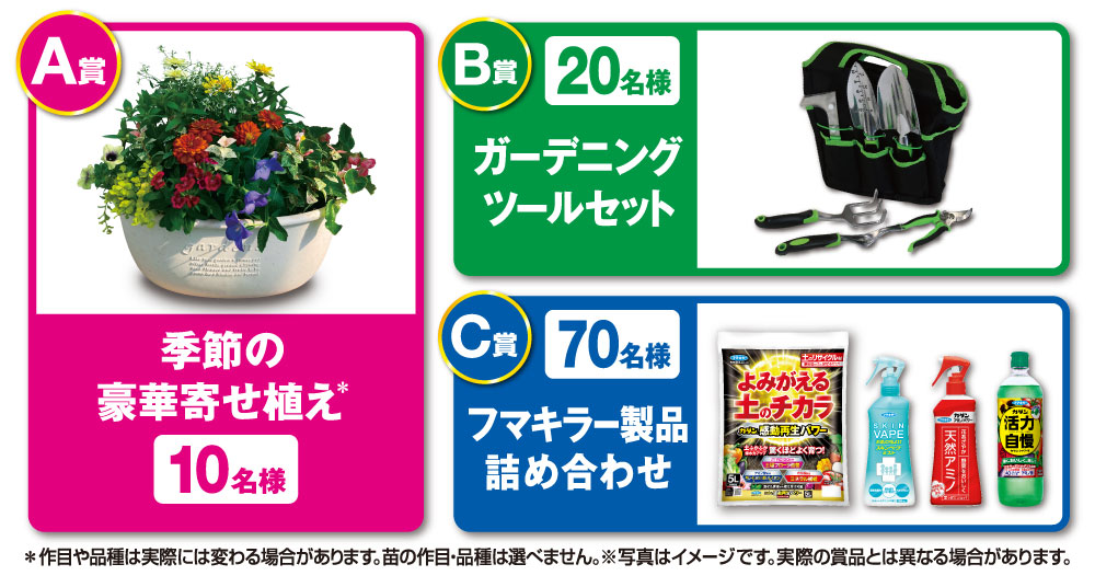 キャンペーン賞品