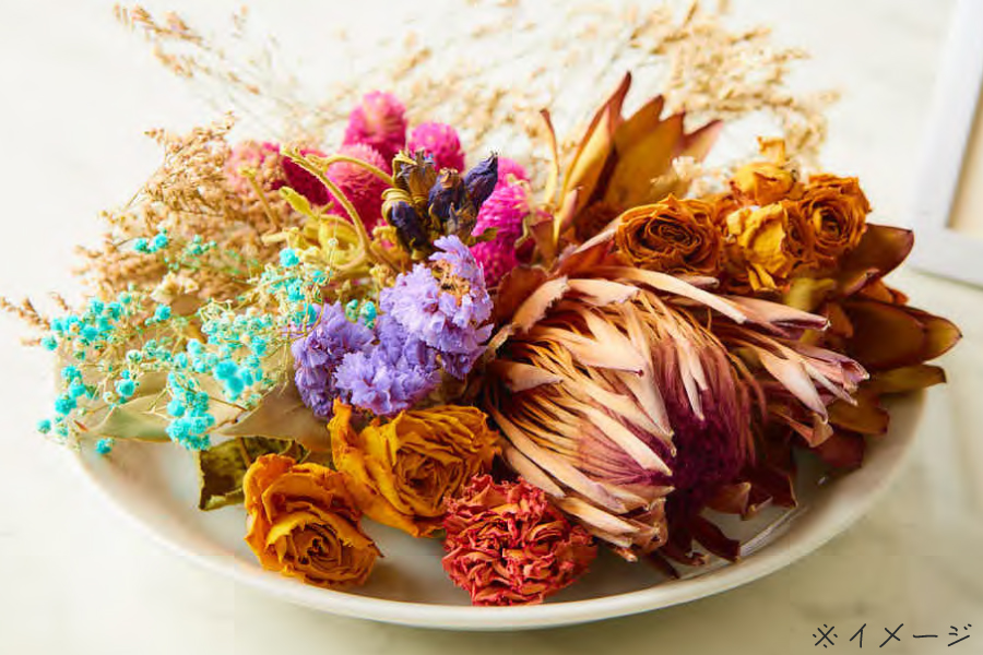 ＤＣＭ カジュアルヘルメット