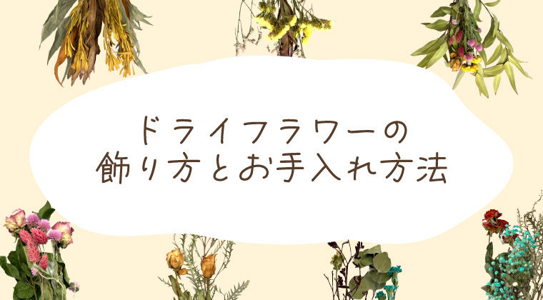 自転車に「青切符」制度導入！ホームセンターで入手できる安全対策グッズ
