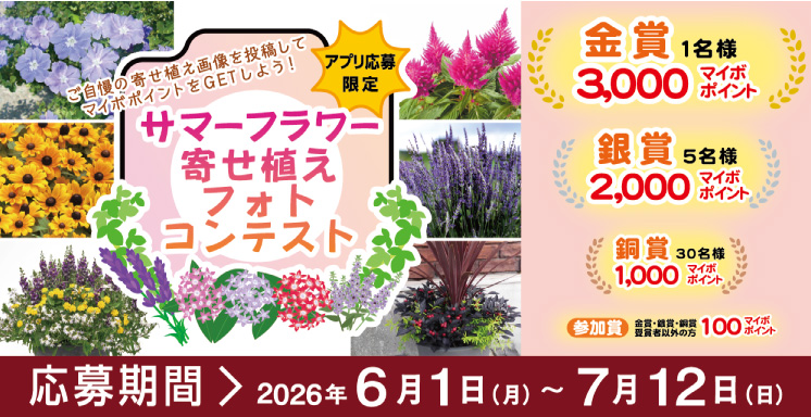 サマーフラワー寄せ植えフォトコンテスト【アプリ応募限定】