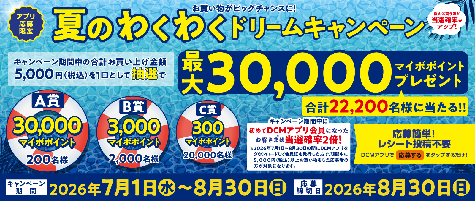 キャンペーン