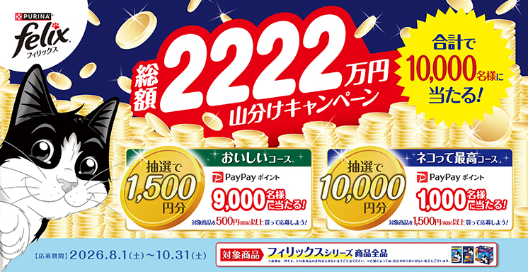 felix　総額2222万円山分けキャンペーン