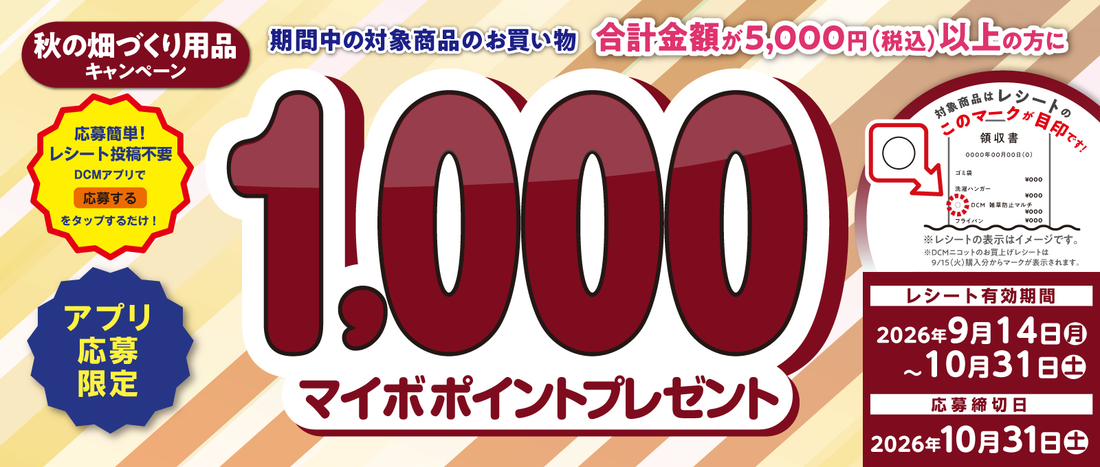 キャンペーン