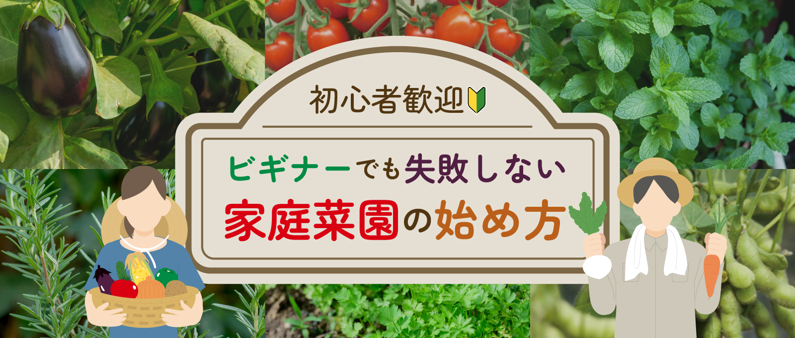自分でお野菜作りませんか？ 初心者歓迎】ビギナーでも失敗しない家庭菜園の始め方！ ｜特集 ｜ DCM