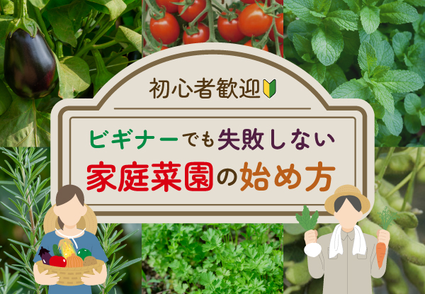 2026家庭菜園特集（～5/15）