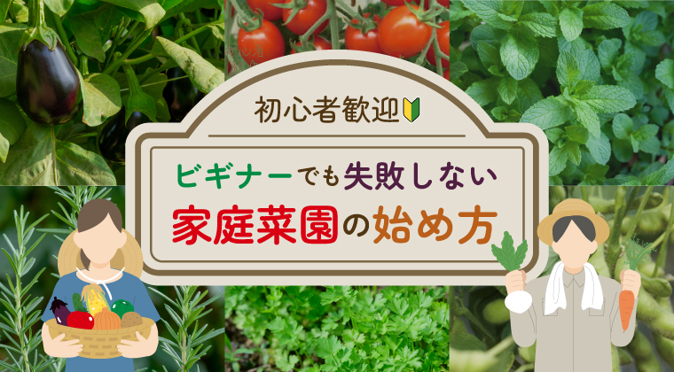 【初心者歓迎】ビギナーでも失敗しない家庭菜園の始め方！