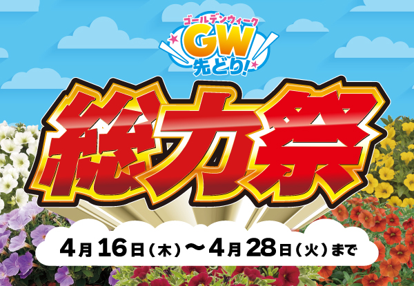 ＤＣＭ総力祭 開催！