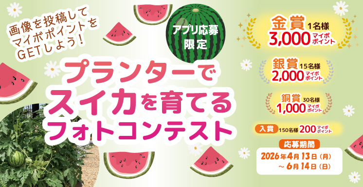 プランターでスイカを育てるフォトコンテスト【アプリ応募限定】