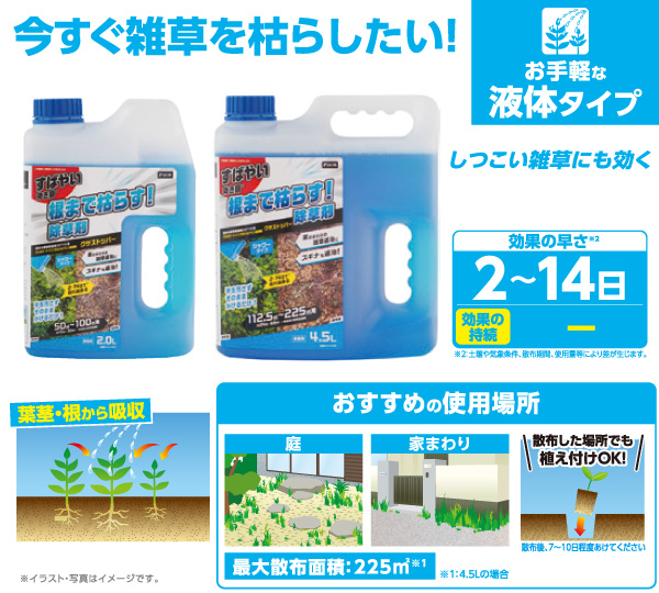 ＤＣＭ  根まで枯らす！シャワー除草剤