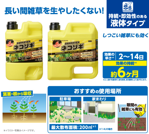 ＤＣＭ ネコソギキープシャワー