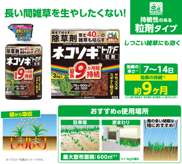 ネコソギトップF粒剤