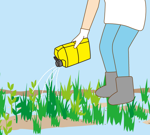 速効性がある液剤タイプの除草剤