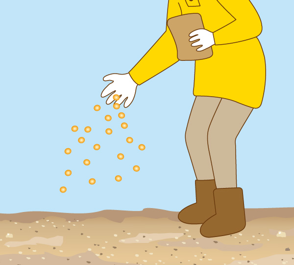 長く効く粒剤タイプの除草剤