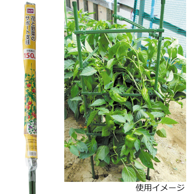 DCM 花と野菜のサポート支柱　高さ 約150cm